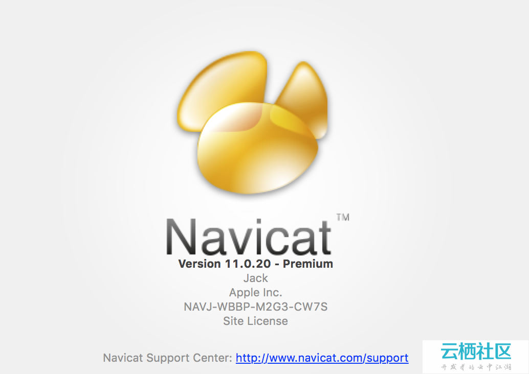 navicat for mysql mac 破解版